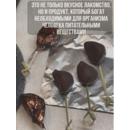 Чеснок черный в шоколаде