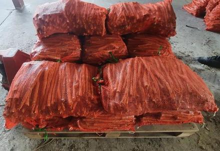 Корень хрена