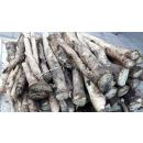 Корень хрена