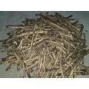 Корень хрена