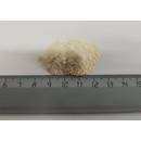 Корень хрена сушеный (порошок)