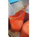 Чеснок очищенный