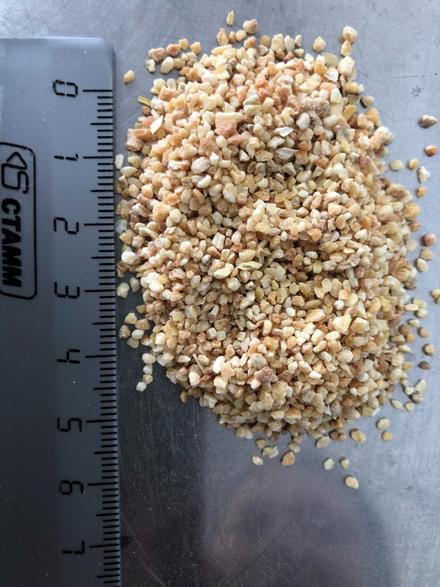 Чеснок сушеный гранулы 8х16