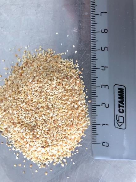 Чеснок сушеный гранулы 16х26