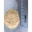 Чеснок сушеный гранулы 16х26